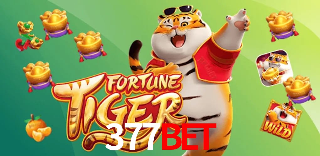 Experiência VIP 377bet