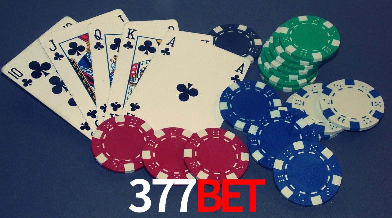 Player Reviews 377bet