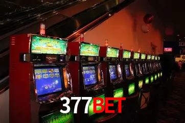 A Experiência Imersiva dos Cassinos Ao Vivo no 377bet