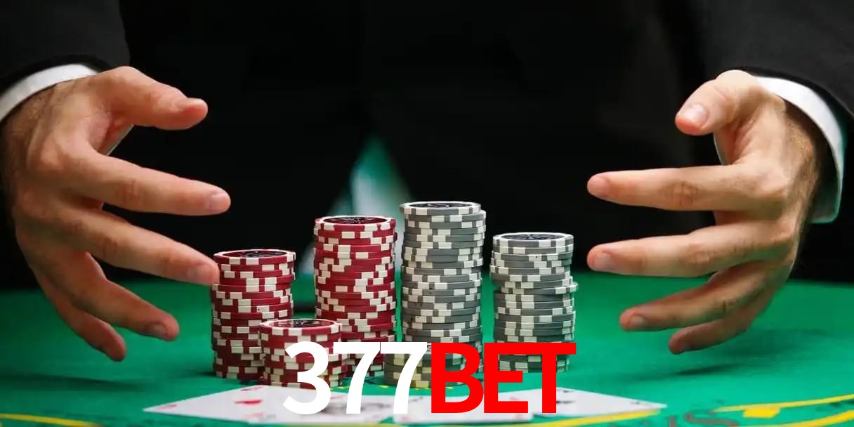 377bet telegram